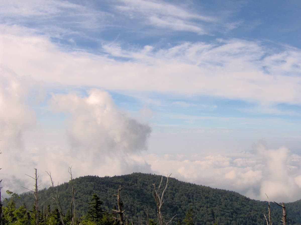 Andrews Bald — Andrews-bald-from-clingmans-dome.jpg