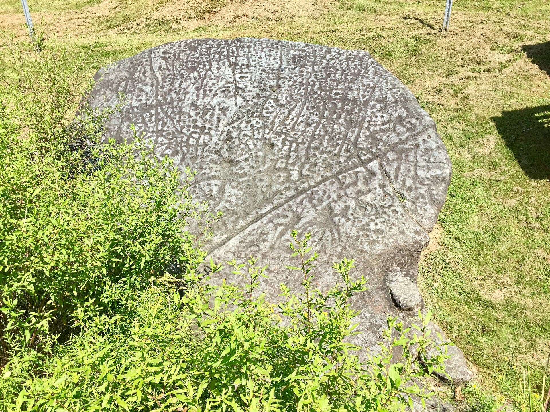 Judaculla Rock — Judaculla_Rock,_Caney_Fork,_NC_Aug_2019.jpg