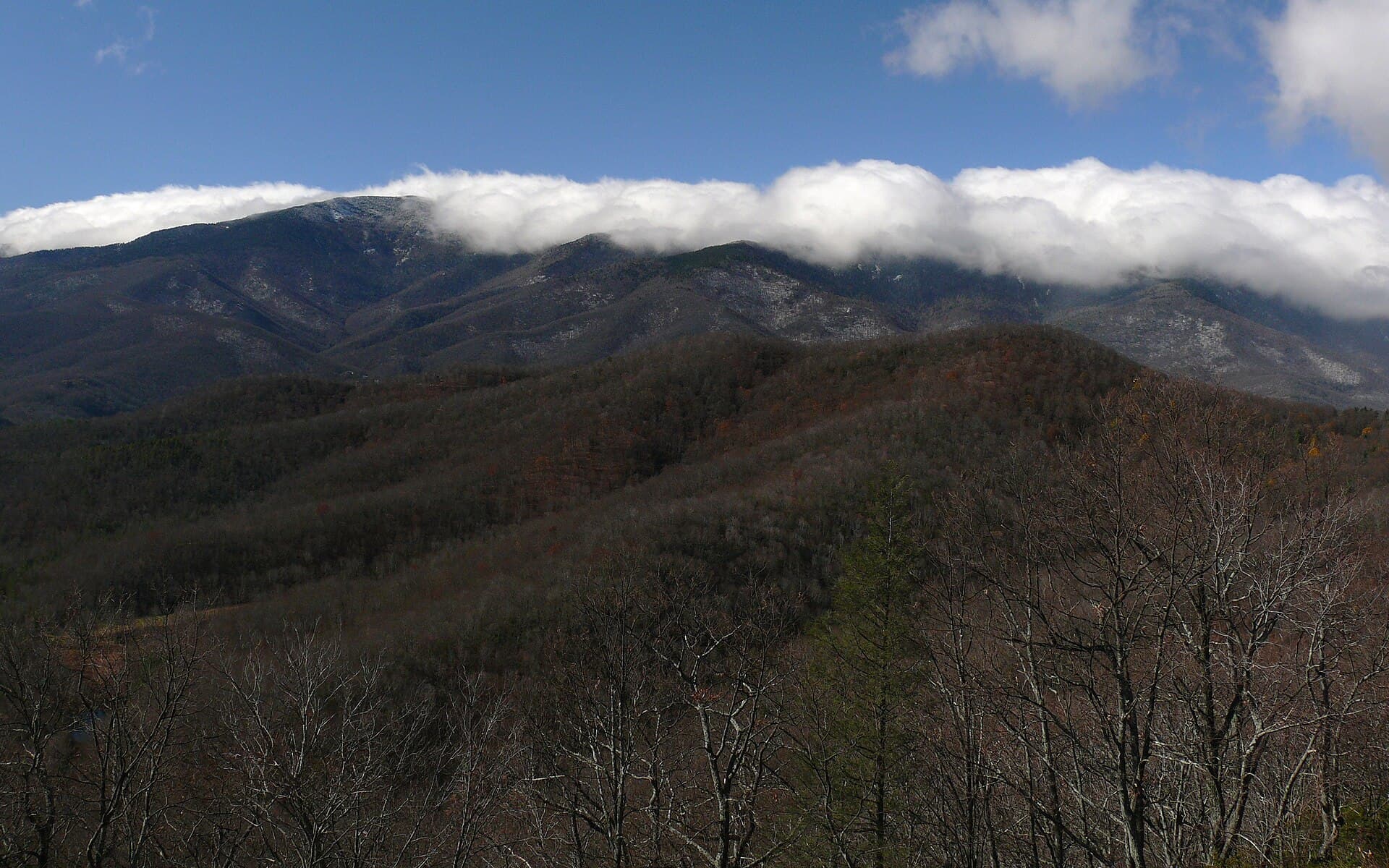 Black Camp Gap — Black_Mountains-27527-2.jpg