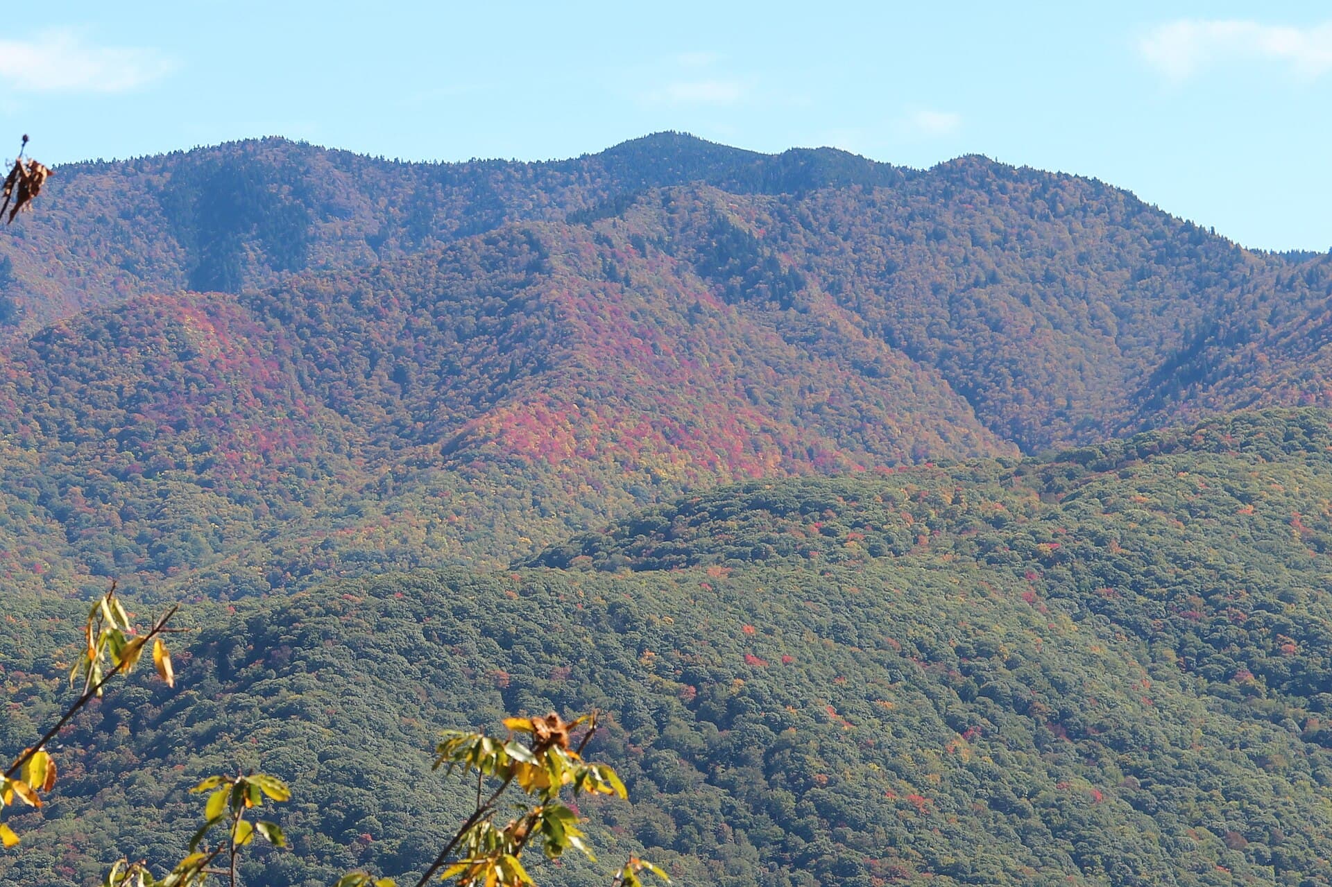 Steestachee Bald Overlook — Richland_Balsam_from_Steestachee_Bald_Overlook,_October_2016.jpg
