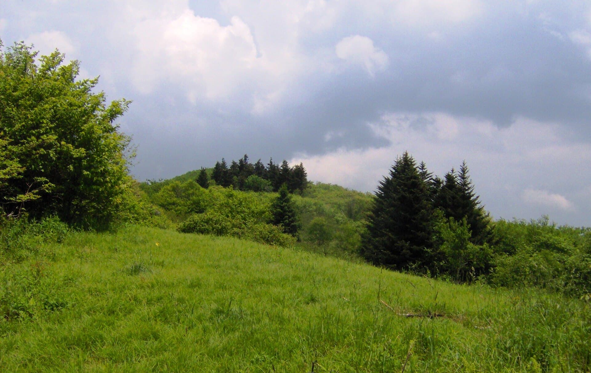 Bob Stratton Bald — Stratton-bald-bob-bald-nc1.jpg