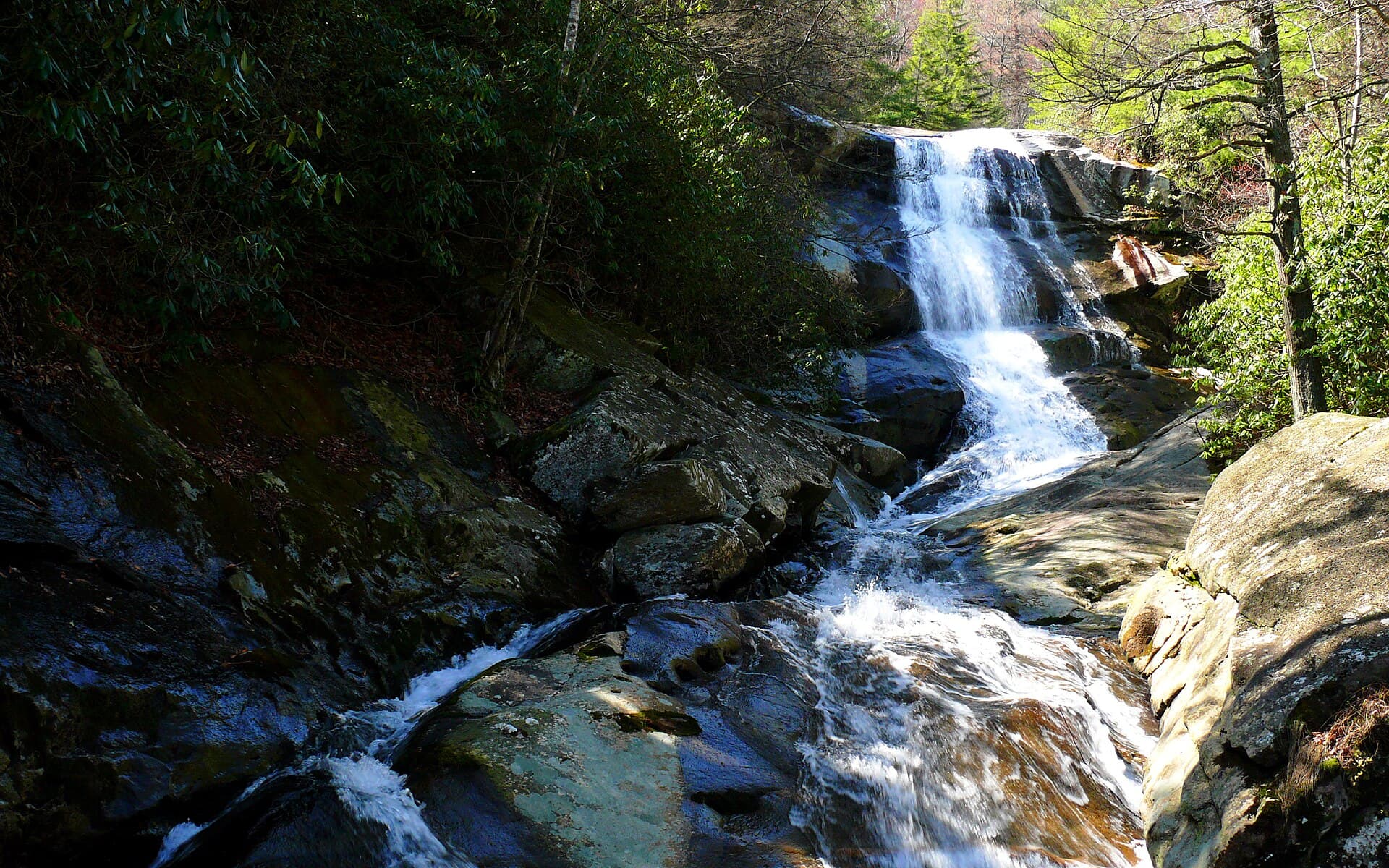 Pisgah Ridge — Upper_Creek-27527-4.jpg