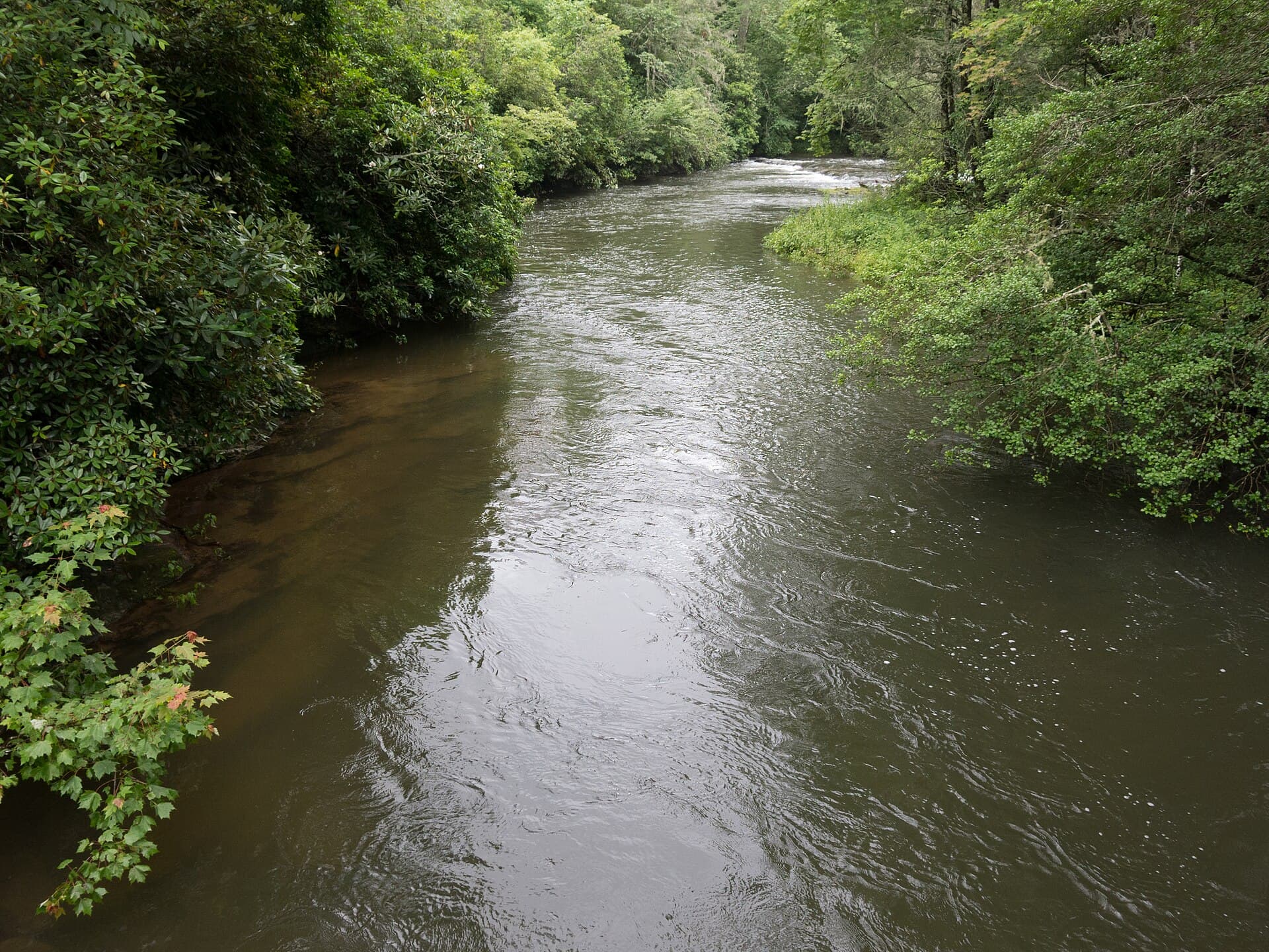 Horsepasture River — Horsepasture River - panoramio.jpg