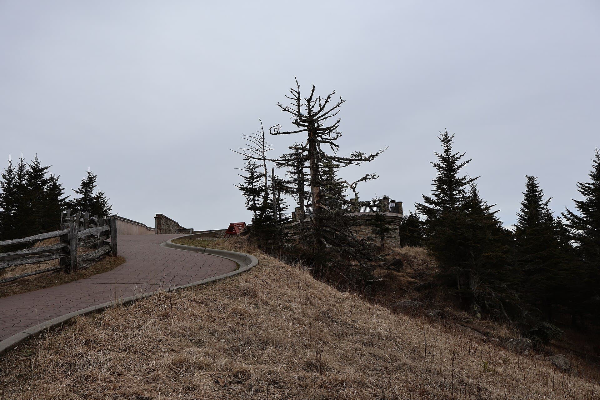 Mt Mitchell — Mount Mitchell Summit Trail (March 2023) 2.jpg
