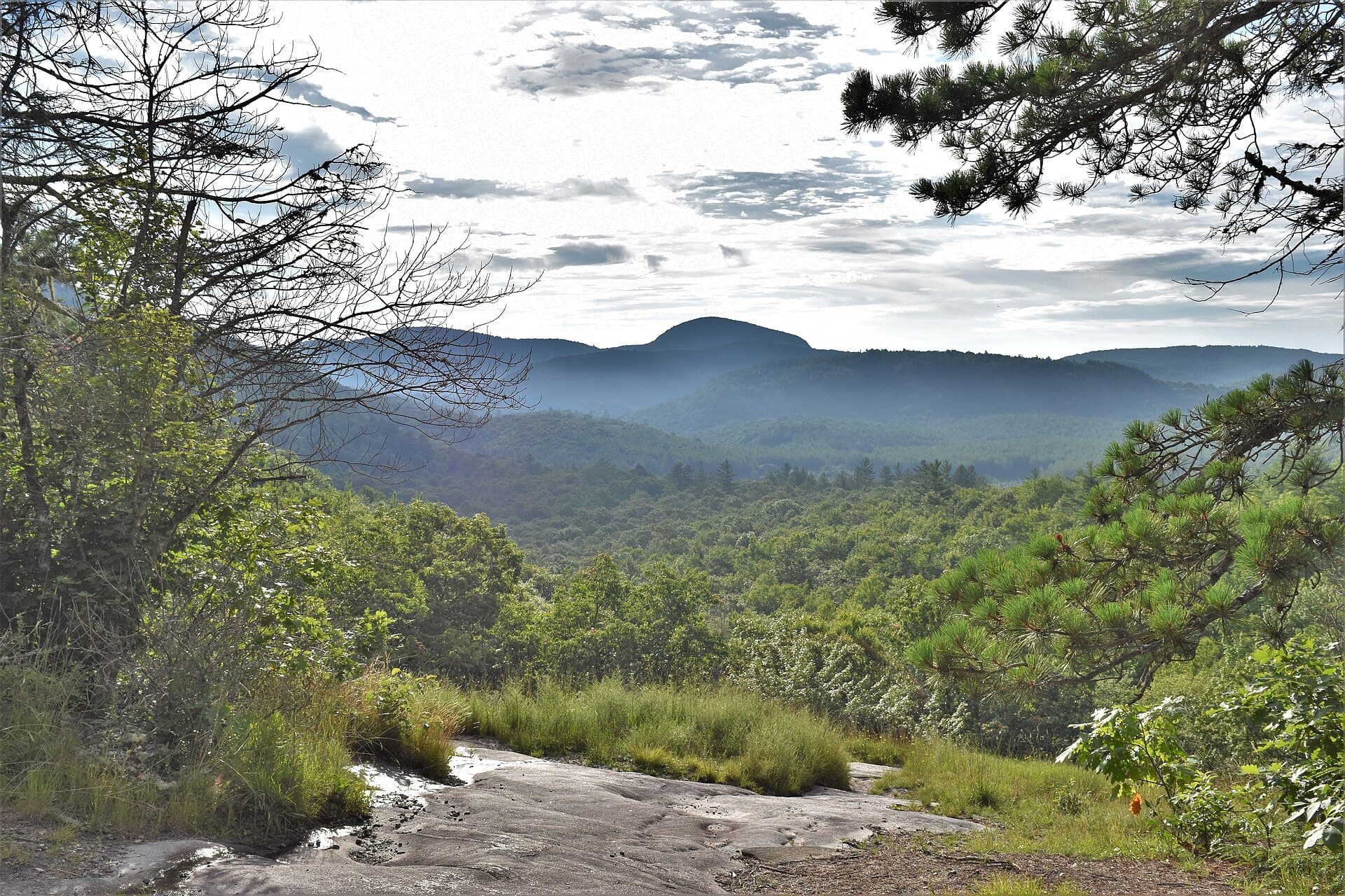 Panthertown Creek — Scene_above_Panthertown_Valley_Wetland.jpg